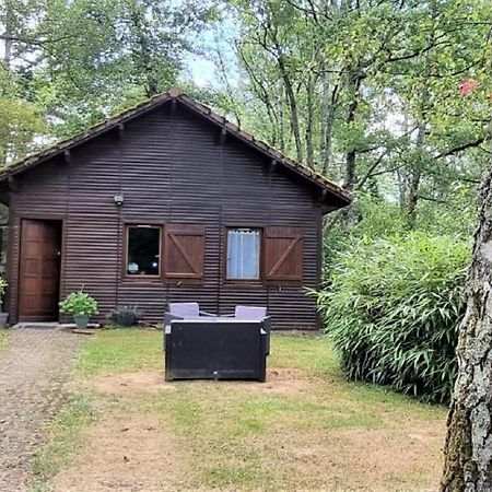 Weir Cottage Balledent Екстериор снимка