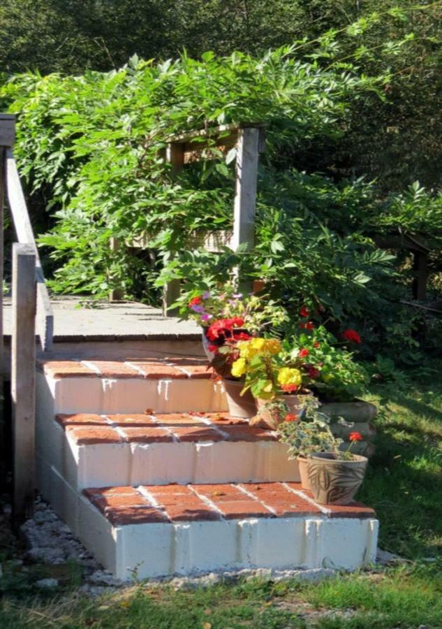 Weir Cottage Balledent Екстериор снимка